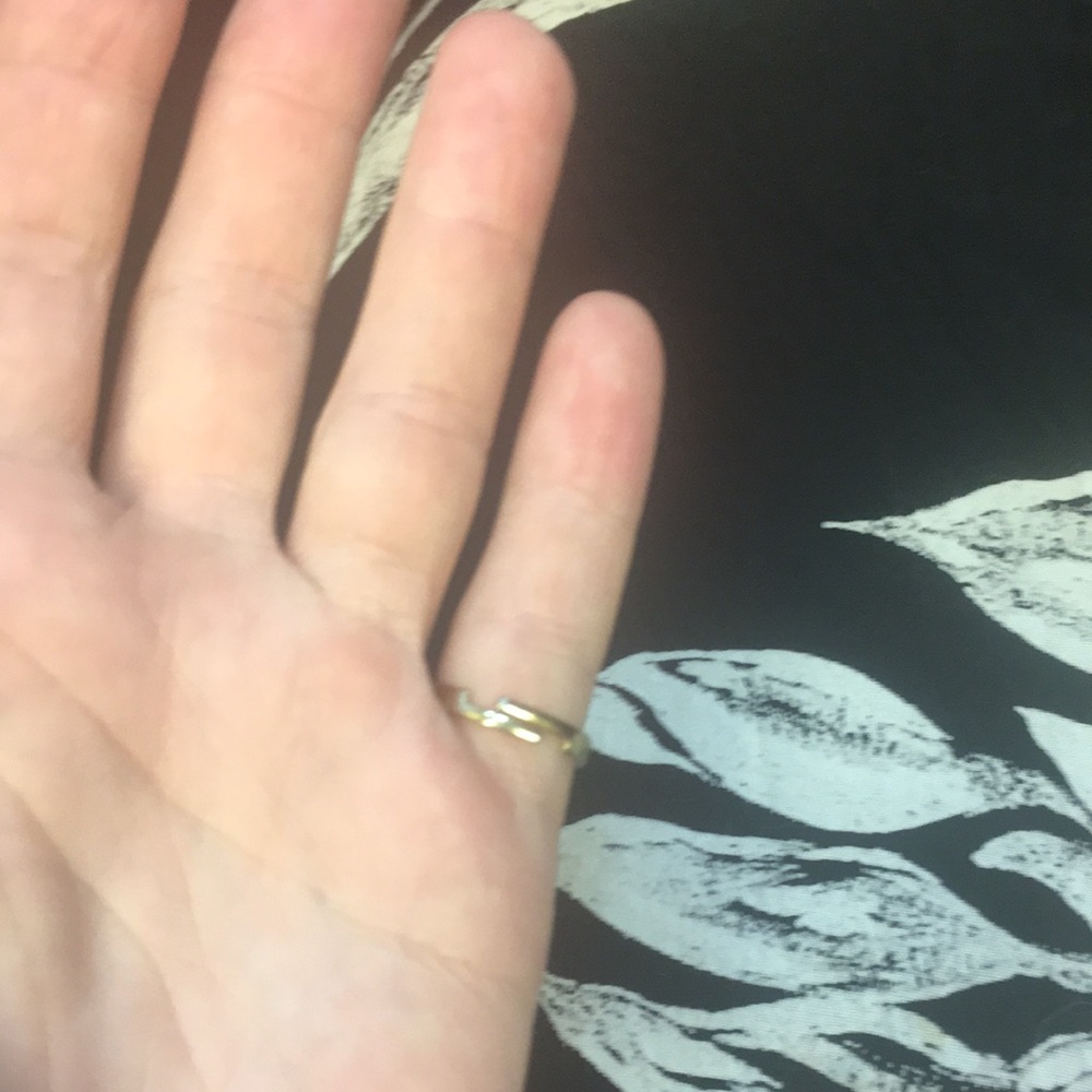Dinosaur ring - Picture 3 of 3